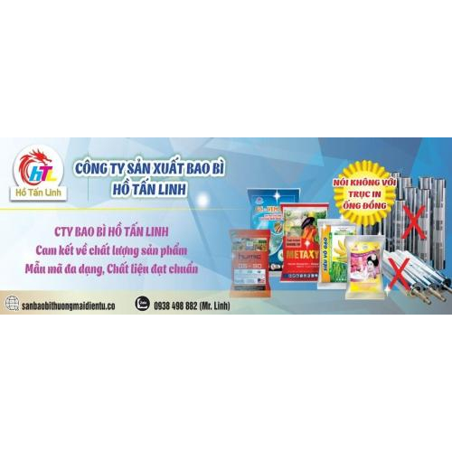 II. Lĩnh vực hoạt động