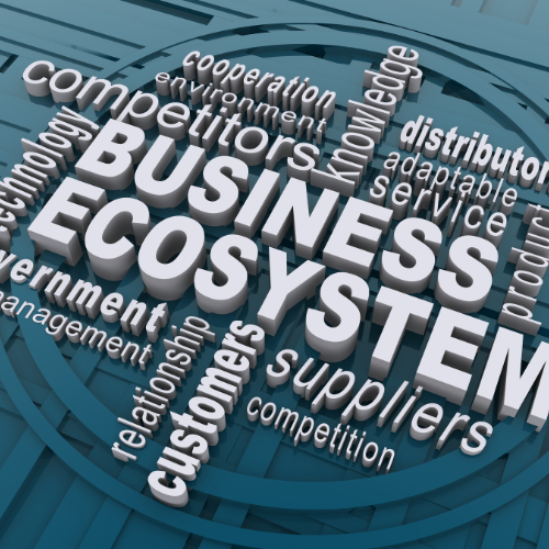 Hệ Sinh Thái Hội Quán