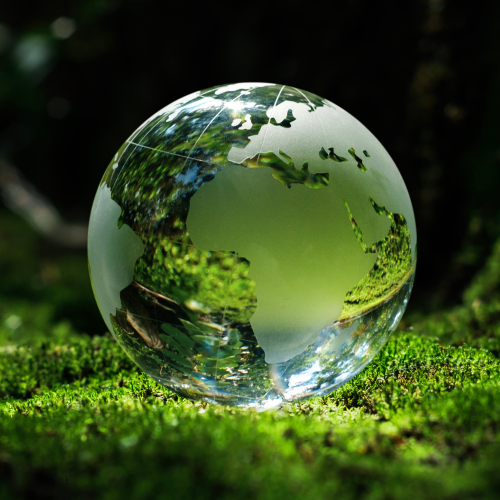 Hệ Sinh Thái Xanh
