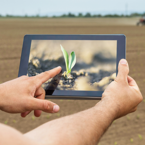 Nông Nghiệp Mới – Tư Duy Mới, Giải Pháp Mới