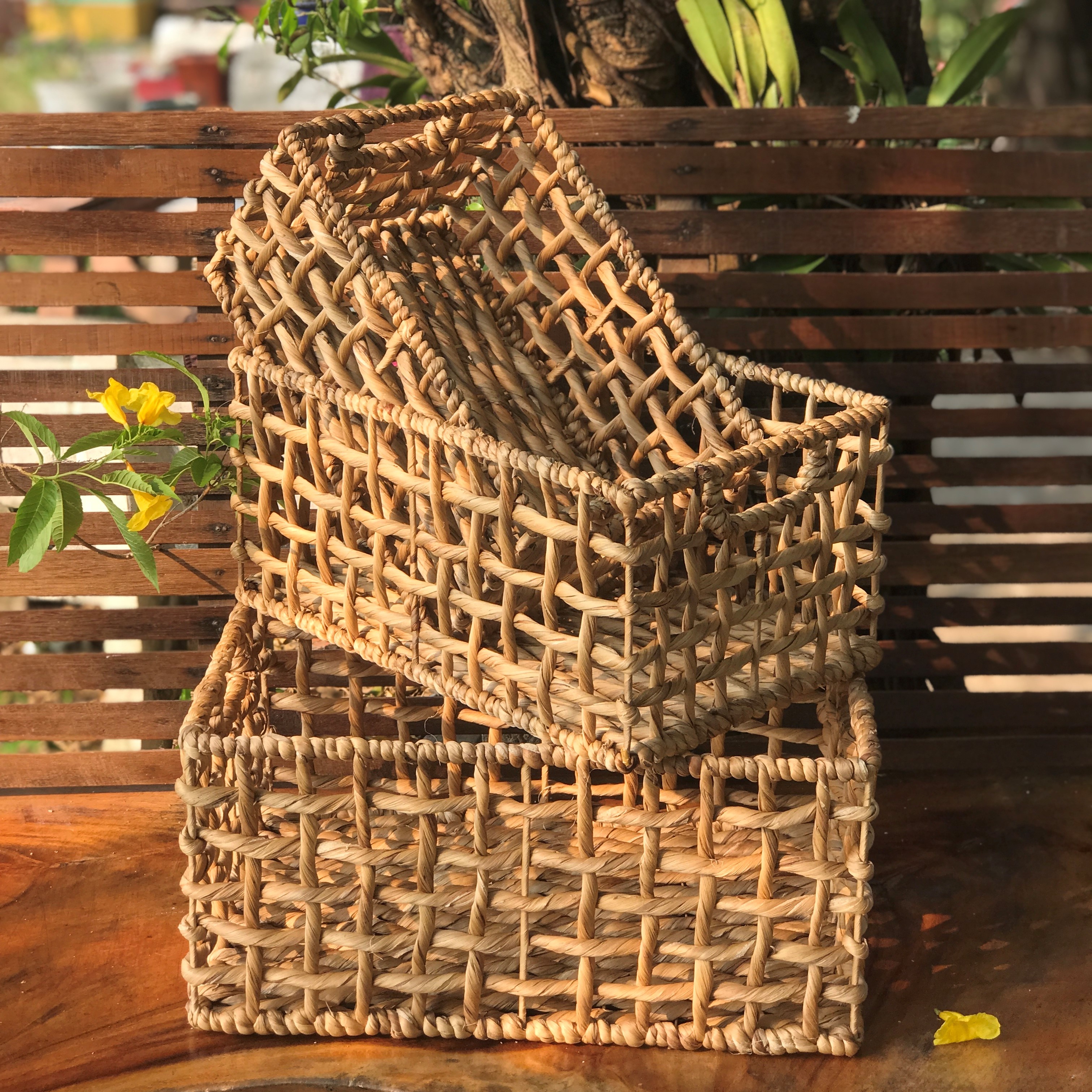 37Fd225dE2D_6a6 51D14f354852_b1 Combo 3 Khay Lục Bình Mẫu Lưới Có Quai Cầm