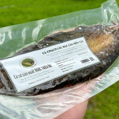 Cá Chạch Nấu Gì Ngon? Top 10 Món Ngon Từ Cá Chạch