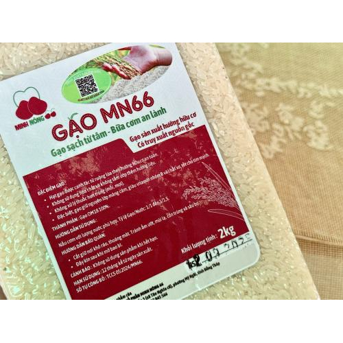 Gạo MN66 Túi 2kg