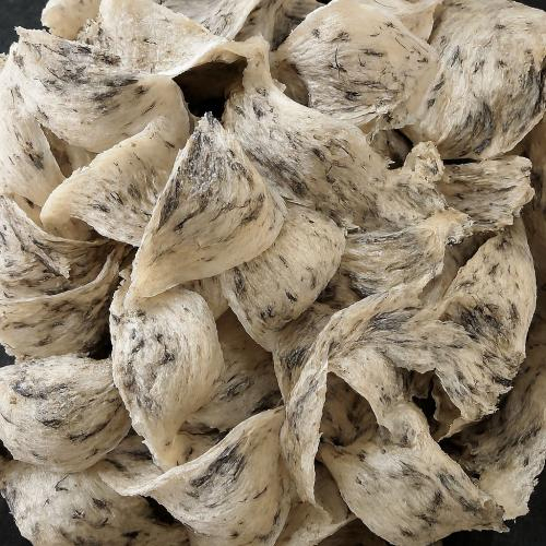 Tổ Yến Thô Để Được Bao Lâu?