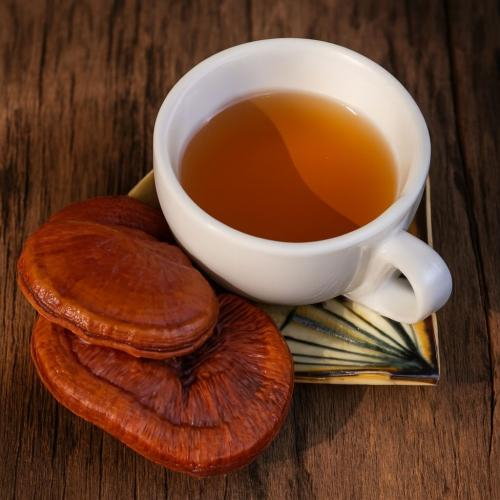 Nấm Linh Chi Có Tác Dụng Gì Với Giấc Ngủ? Uống Nấm Linh Chi Có Mất Ngủ Không?