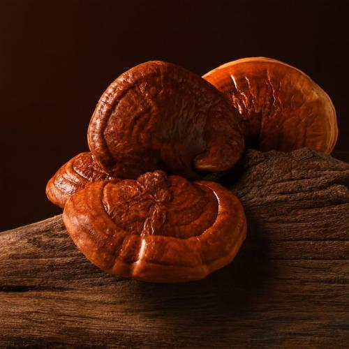 Cách Nhận Biết Nấm Linh Chi Đơn Giản Có Thể Bạn Chưa Biết