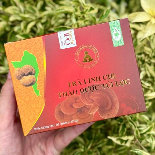 Trà Linh Chi Thảo Dược Túi Lọc Có Tác Dụng Gì?