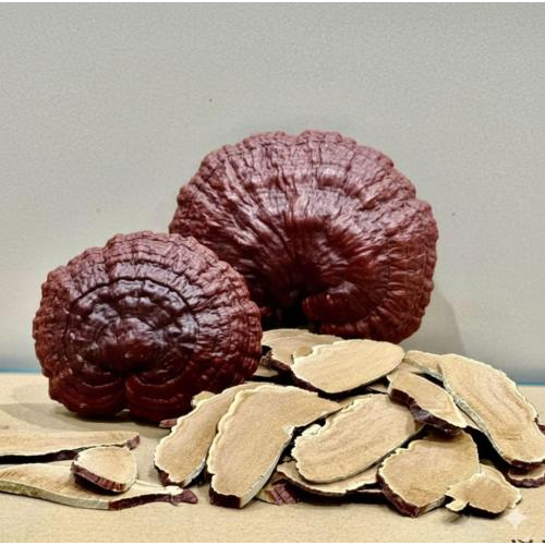 Nấm Linh Chi Có Tác Dụng Gì Cho Nữ Giới?