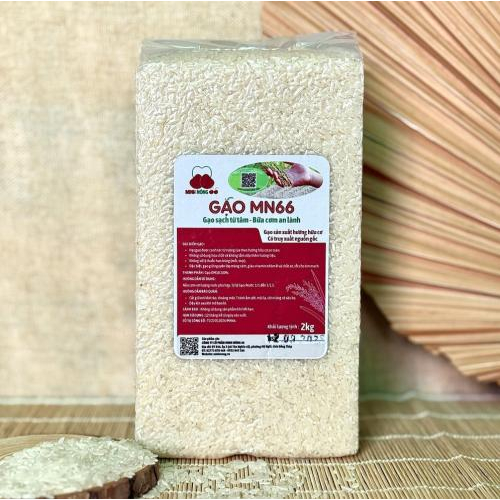 1 Ngày Nên Ăn Bao Nhiêu Bát Cơm MN66?