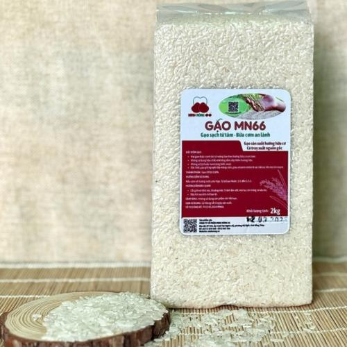 Ăn Gạo MN66 Thường Xuyên Có Tốt Cho Sức Khỏe Không?