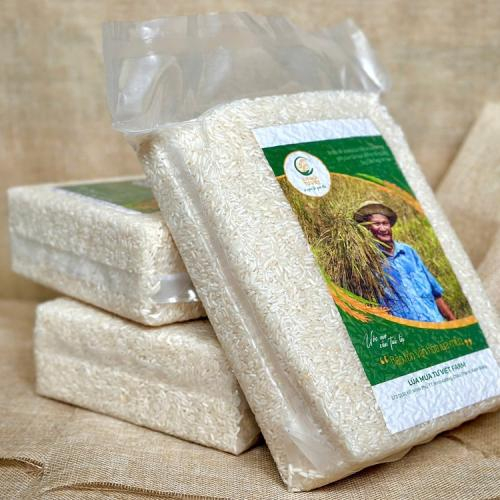 Gạo Nàng Thơm Vĩnh Quới Có Gì Nổi Bật?