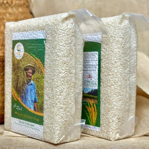 Ăn Cơm Hằng Ngày Có Tốt Không?