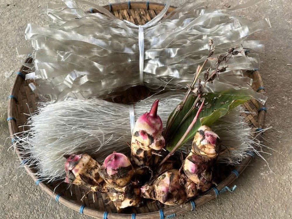 Giới thiệu về Miến dong Nà Tấu – Điện Biên