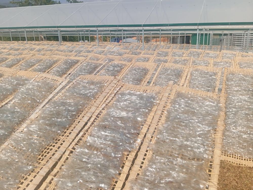 Các trường hợp sử dụng