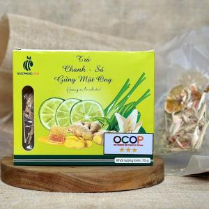 Nên Uống Trà Gì Hàng Ngày? Top 10 Loại Trà Tốt Cho Sức Khỏe