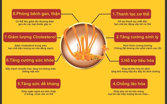 Công dụng của trà gói đông trùng hạ thảo