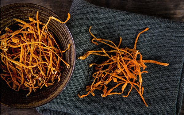 Tại sao phải sấy khô đông trùng hạ thảo?