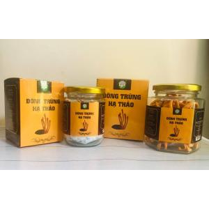 Mua trà đông trùng hạ thảo khô ở đâu thì chất lượng?