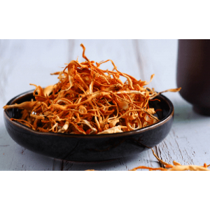 Tại sao phải sấy khô đông trùng hạ thảo?