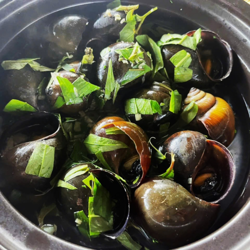 Ốc Bươu Đen Hấp Tiêu