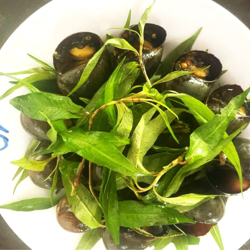 Ốc Bươu Đen Nướng Tiêu