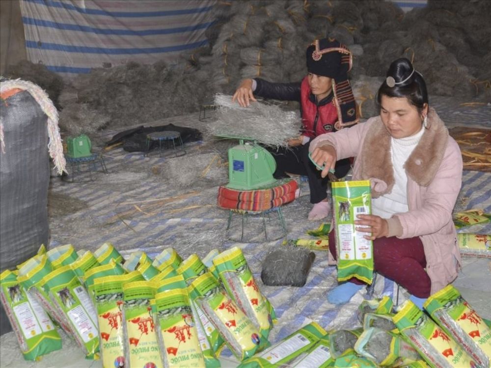 1. Liên kết vùng nguyên liệu – bao tiêu nông sản