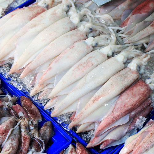 Giá Trị Dinh Dưỡng Của Mực: Giải Mã “Viên Ngọc Biển Cả” Cho Sức Khỏe