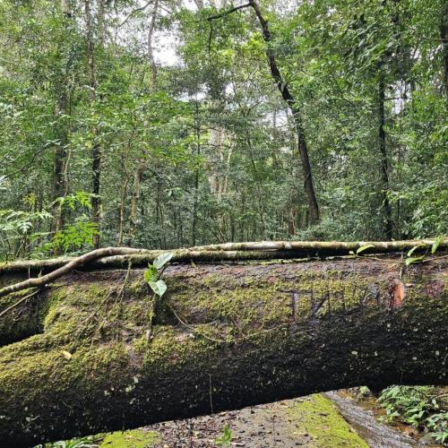 Cơ Hội Trong Mọi Hoàn Cảnh