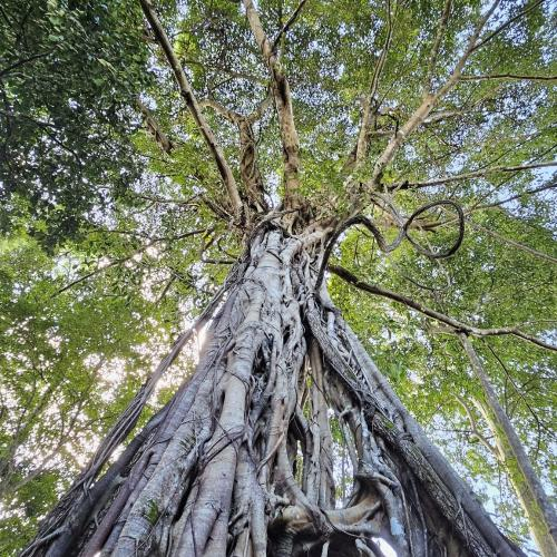 Những Bài Học Từ Sách Rừng Mưa: Thay Đổi Cách Sống – Học Cách Yêu Thương