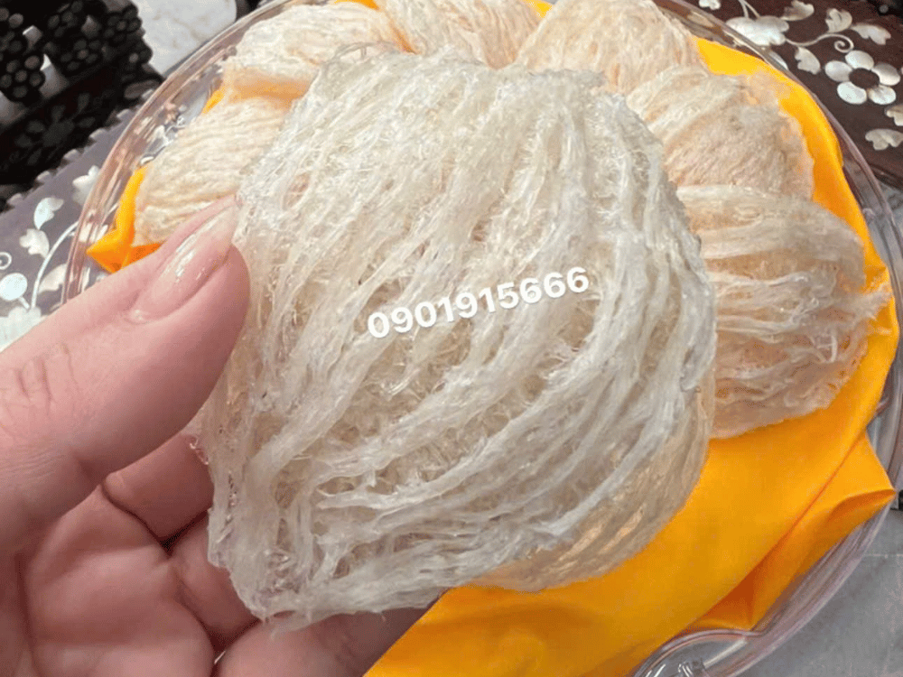 Giới thiệu chi tiết