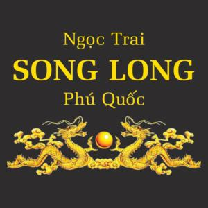 Hộ Kinh Doanh Song Long