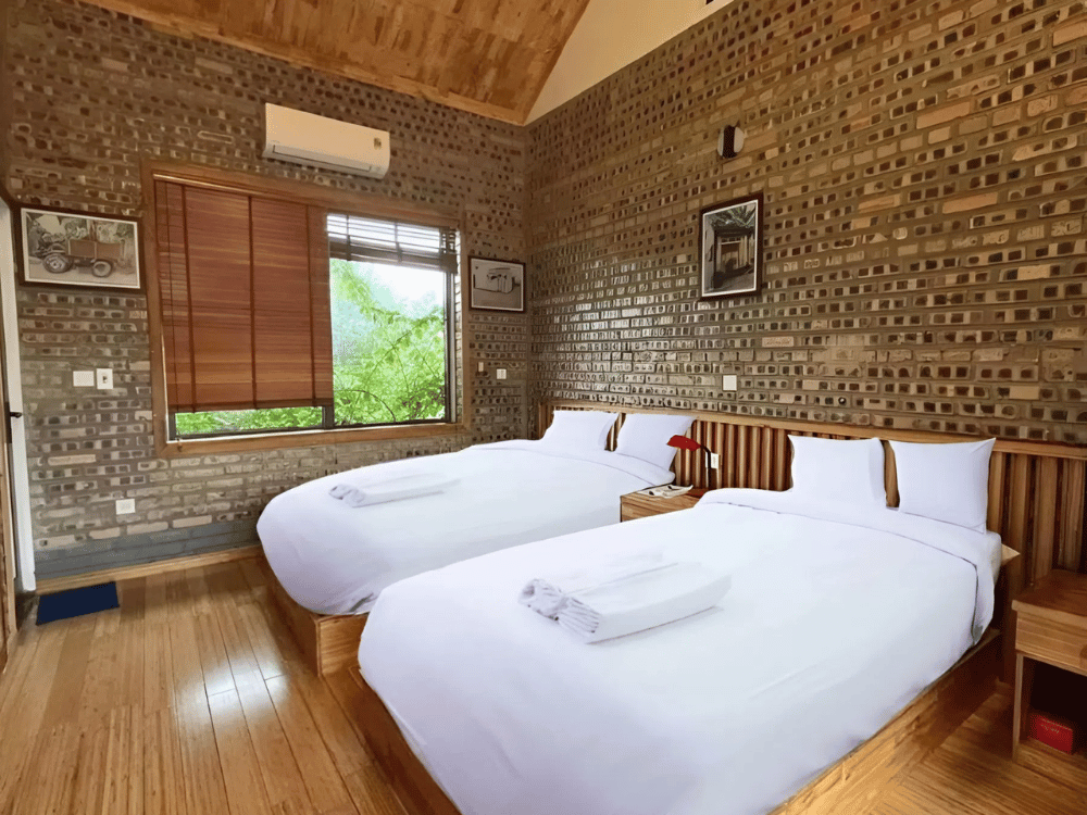 Giới thiệu sơ lược