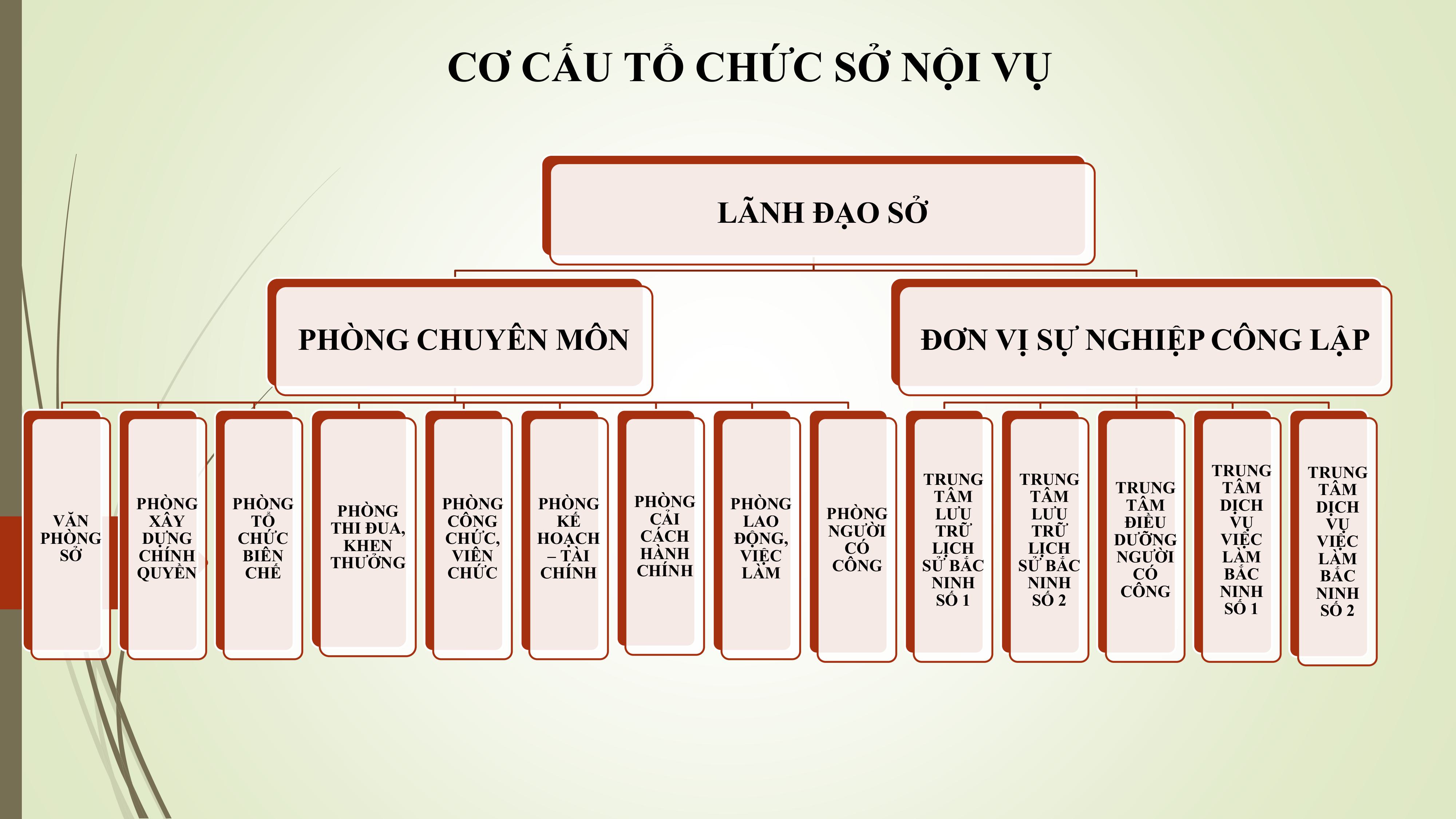 Cơ cấu tổ chức Sở Nội vụ