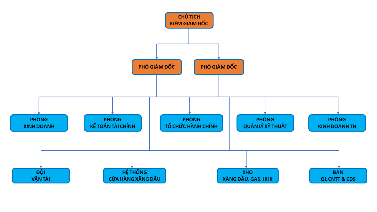 Mô hình tổ chức, Ban Giám đốc
