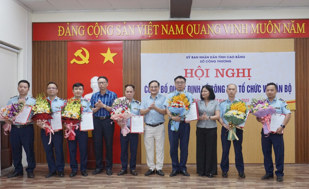 Vị trí, chức năng