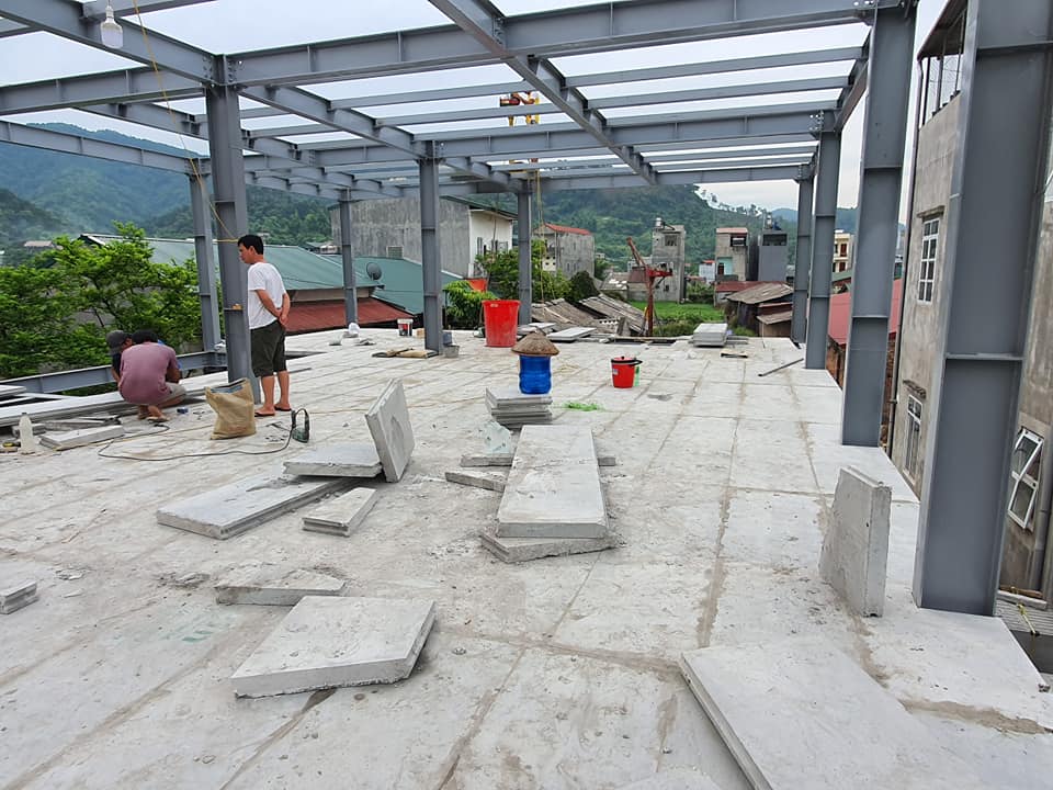 Lĩnh vực hoạt động