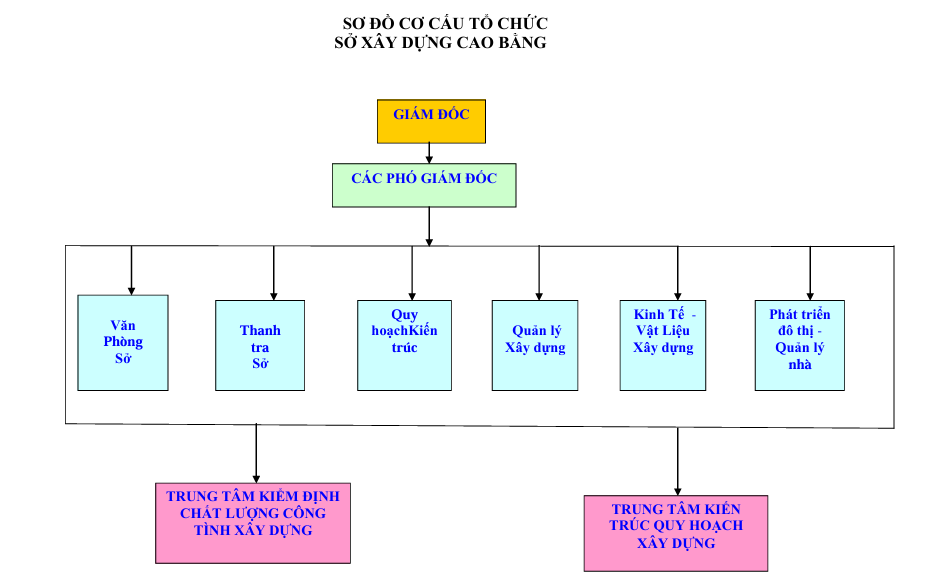 Bộ máy tổ chức