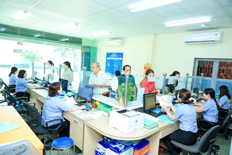 Lĩnh vực hoạt động chính