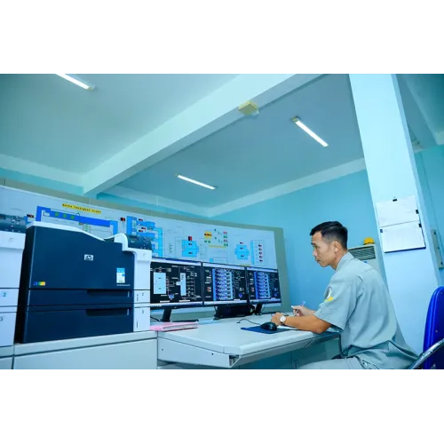 Lĩnh vực hoạt động chính