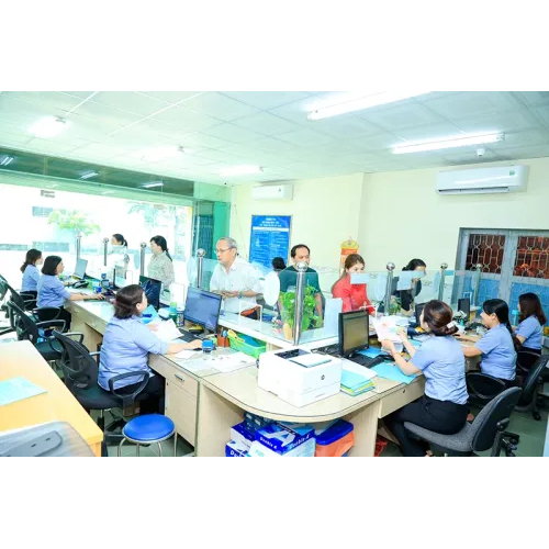 Lĩnh vực hoạt động chính