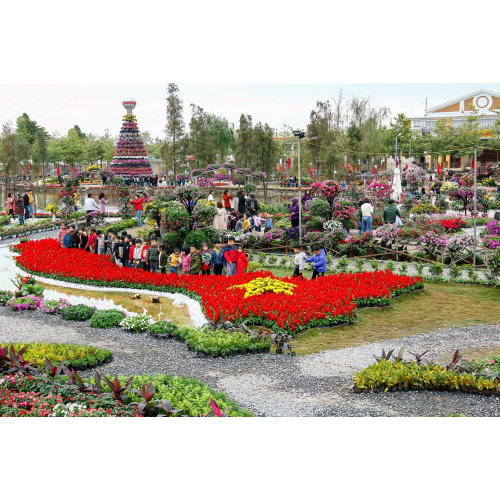 Kinh tế và xã hội