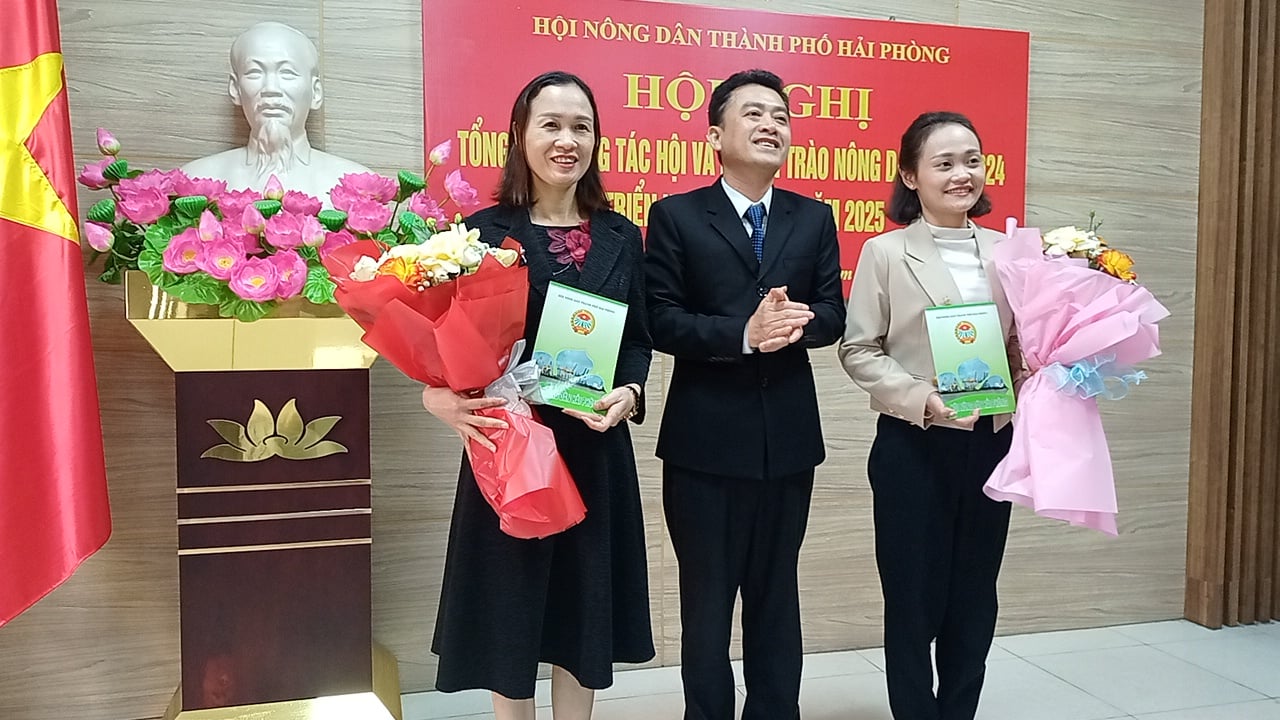 Hoạt động tiêu biểu