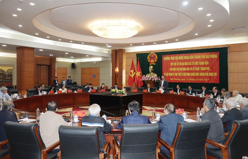 Thường trực và ban chuyên môn