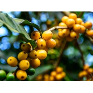 1. Dịch vụ kinh doanh & hỗ trợ bán lẻ, sỉ