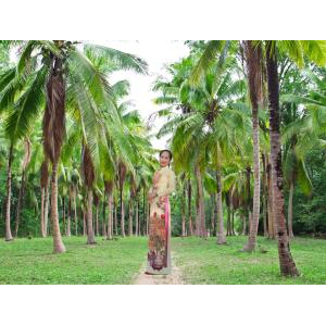 Cơ Sở Sản Xuất Bánh Kẹp Truyền Thống Thúy Kiều