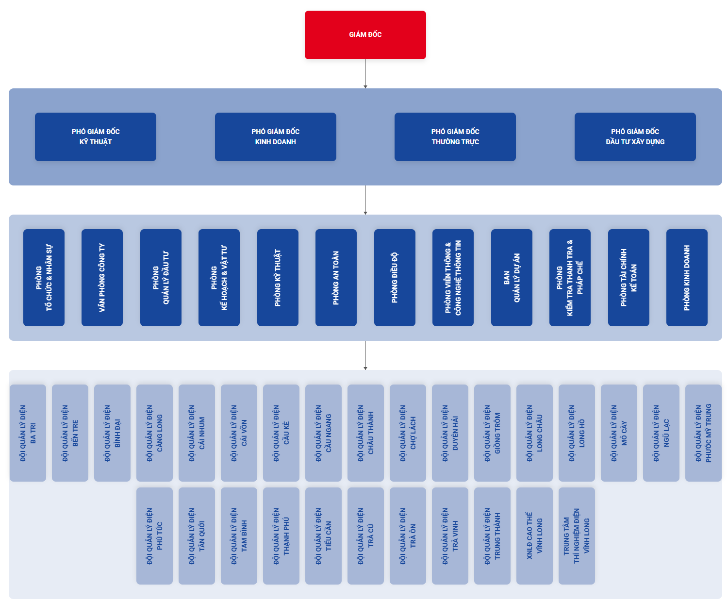 Sơn đồ tổ chức