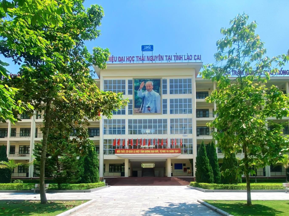 Giới thiệu sơ lược