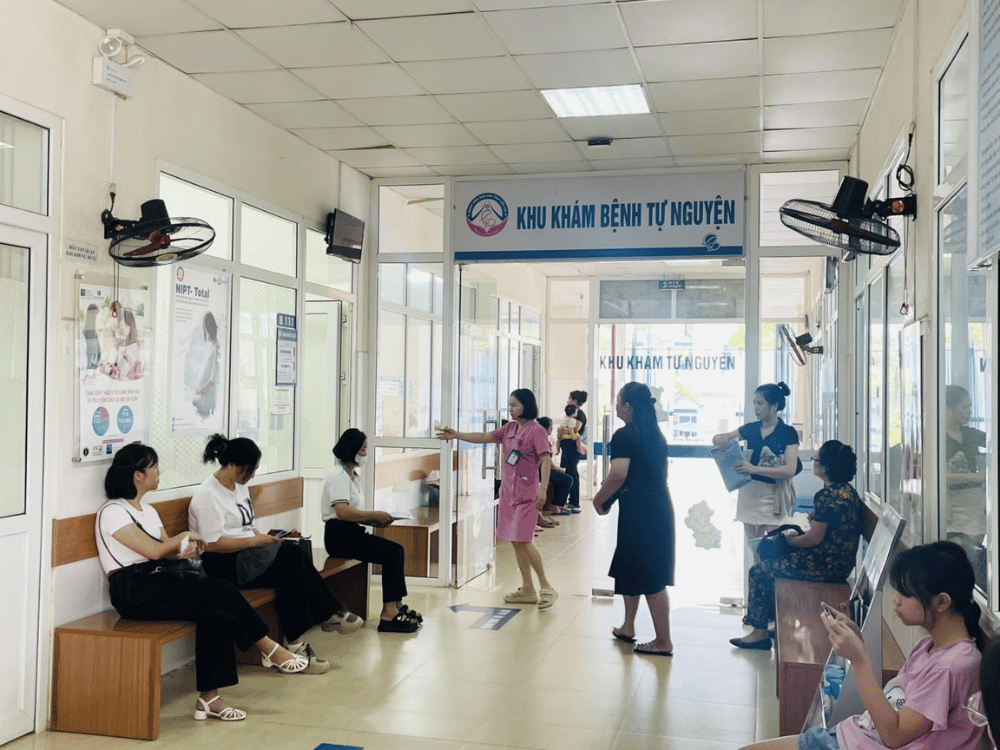 Giới thiệu sơ lược