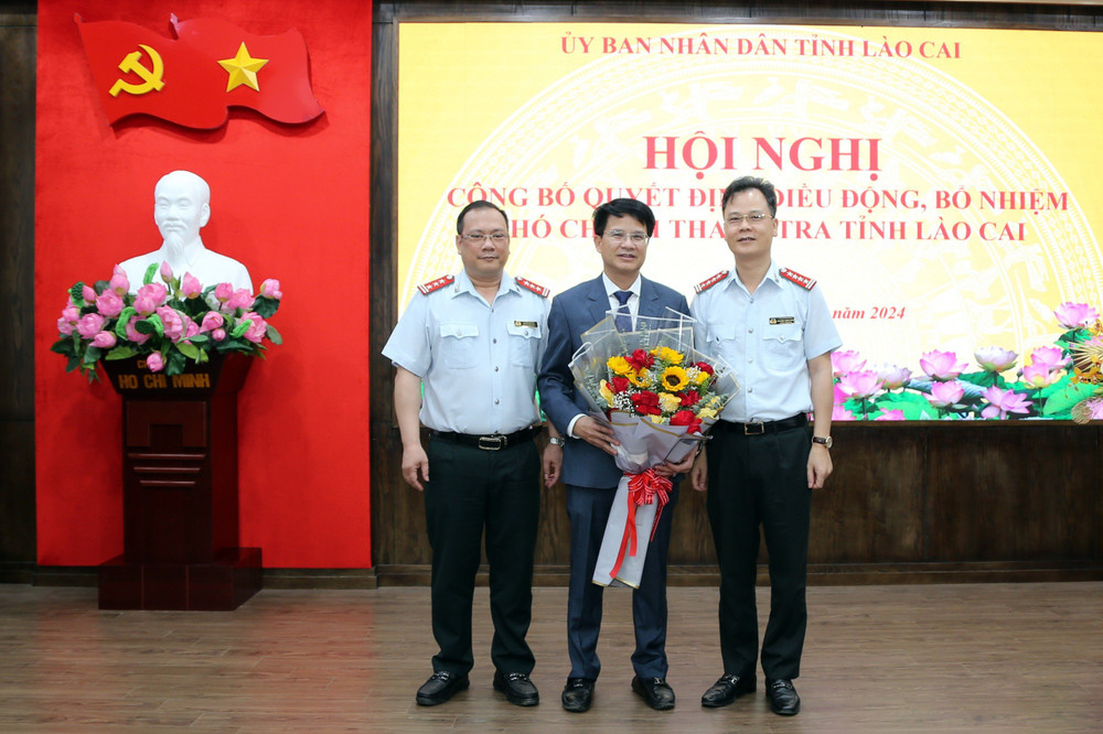 Cơ cấu tổ chức