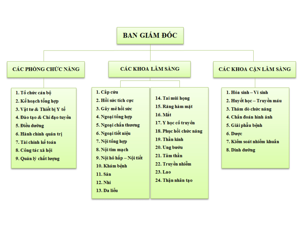 Cơ cấu tổ chức của bệnh viện